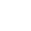 Steam